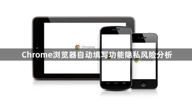 Chrome浏览器自动填写功能隐私风险分析1