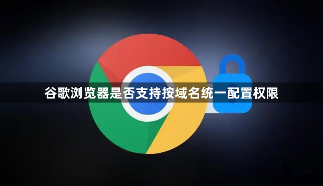 谷歌浏览器是否支持按域名统一配置权限1