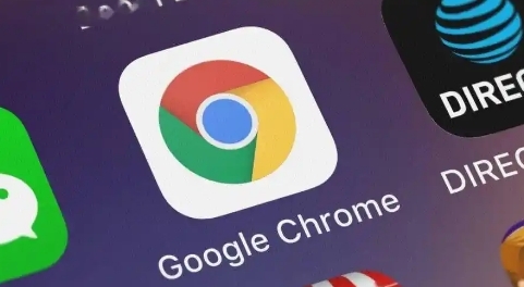 Chrome浏览器下载包安装包完整性验证