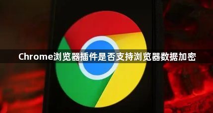 Chrome浏览器插件是否支持浏览器数据加密1