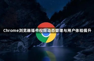 Chrome浏览器插件权限动态管理与用户体验提升1