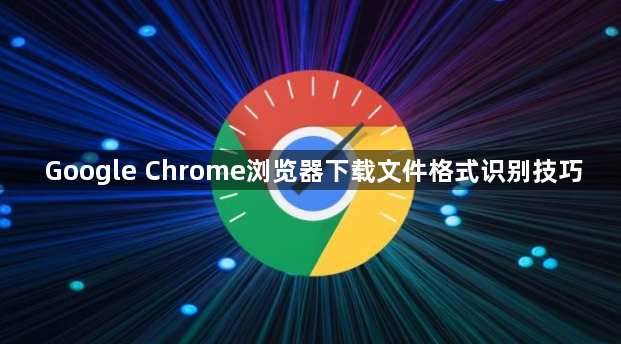 Google Chrome浏览器下载文件格式识别技巧1