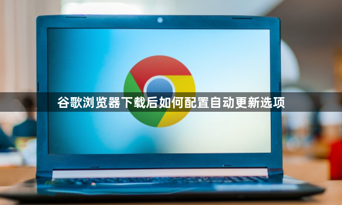 谷歌浏览器下载后如何配置自动更新选项1