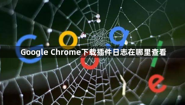 Google Chrome下载插件日志在哪里查看1