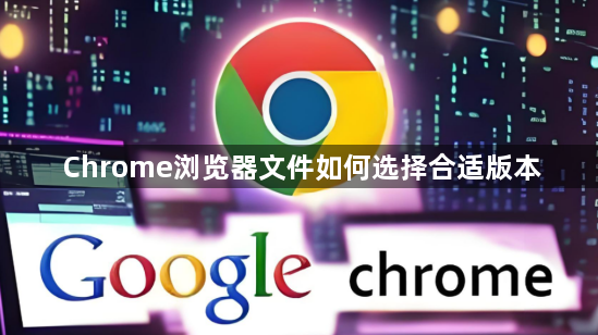 Chrome浏览器文件如何选择合适版本1