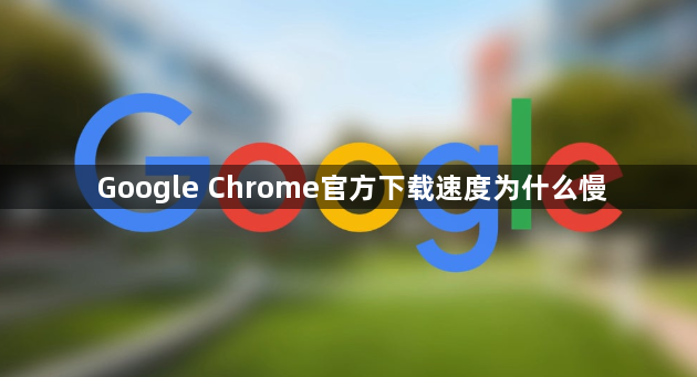 Google Chrome官方下载速度为什么慢1