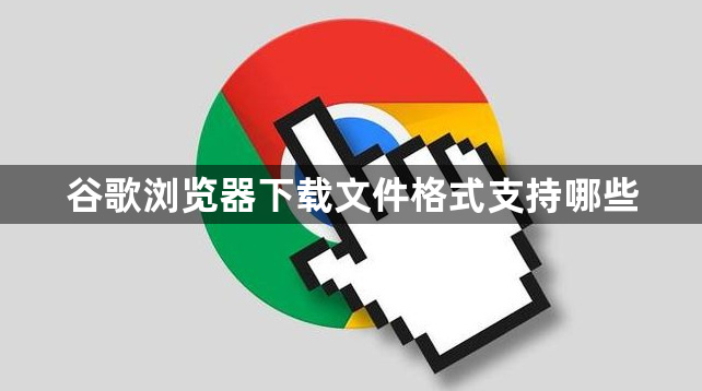 谷歌浏览器下载文件格式支持哪些1
