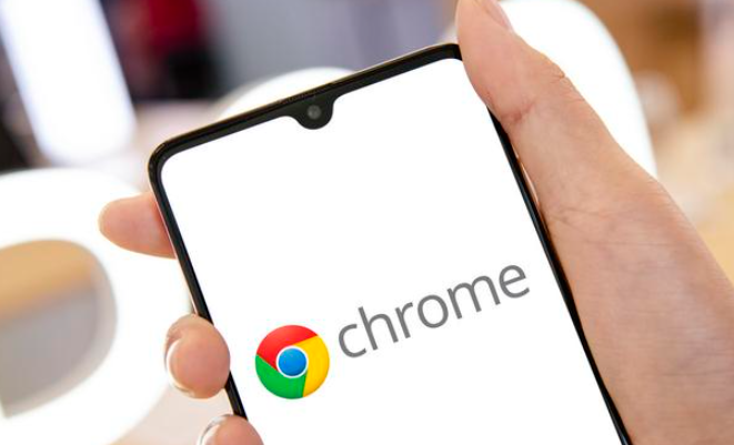 google Chrome插件是否支持插件运行异常行为日志分析