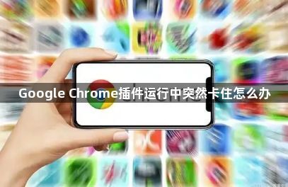 Google Chrome插件运行中突然卡住怎么办1