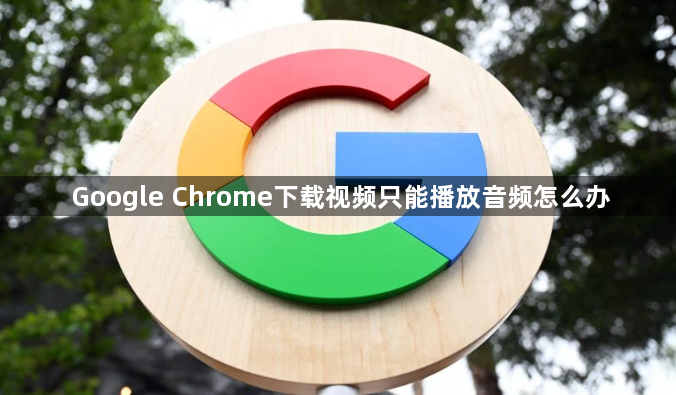 Google Chrome下载视频只能播放音频怎么办1
