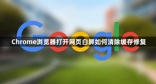 Chrome浏览器打开网页白屏如何清除缓存修复1