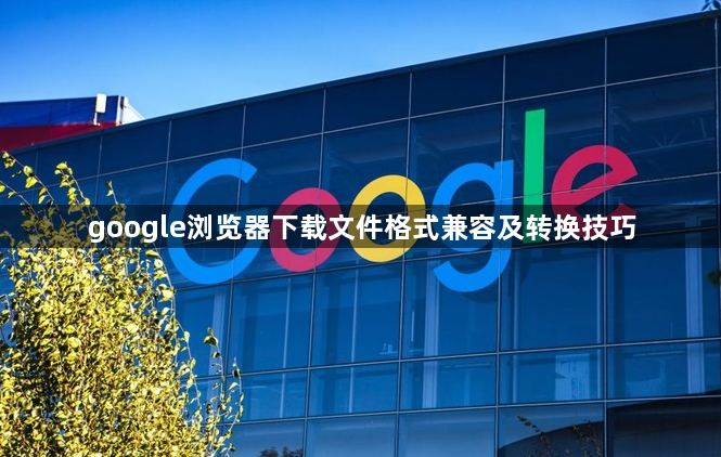 google浏览器下载文件格式兼容及转换技巧1
