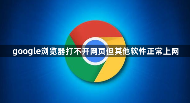 google浏览器打不开网页但其他软件正常上网1