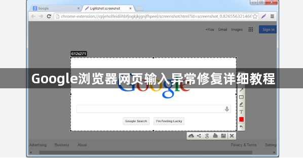 Google浏览器网页输入异常修复详细教程1