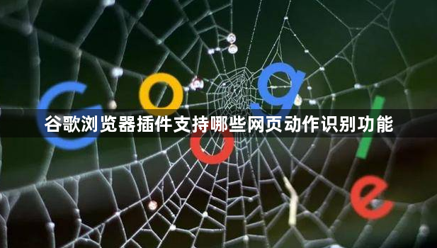 谷歌浏览器插件支持哪些网页动作识别功能1