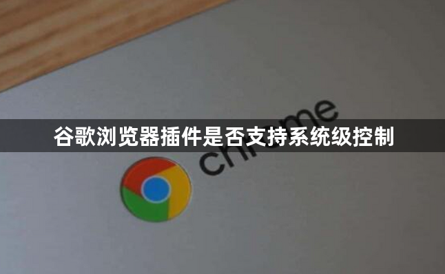 谷歌浏览器插件是否支持系统级控制1