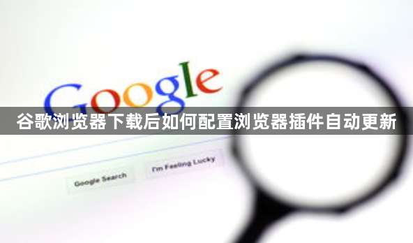谷歌浏览器下载后如何配置浏览器插件自动更新1