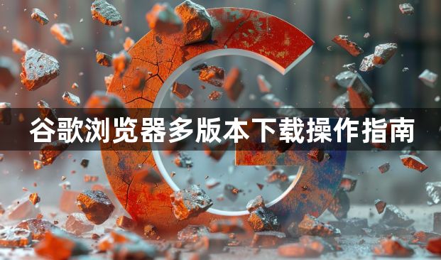 谷歌浏览器多版本下载操作指南1