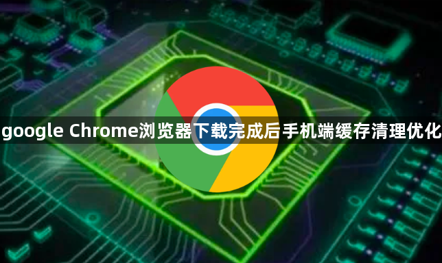 google Chrome浏览器下载完成后手机端缓存清理优化1