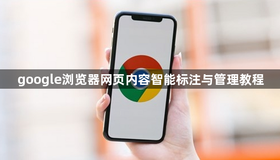 google浏览器网页内容智能标注与管理教程1